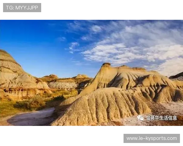 推理:加拿大主场能否在温哥华制造严寒奇迹?,加拿大温哥华最新消息 推理:加拿大主场能否在温哥华制造严寒奇迹?,加拿大温哥华最新消息